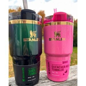Wicked- Glinda & Elphaba Stanley 20oz Tumbler Set